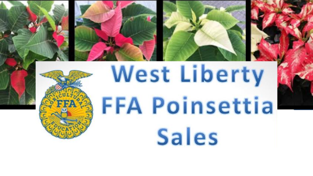 West Liberty FFA Poinsettia Sales