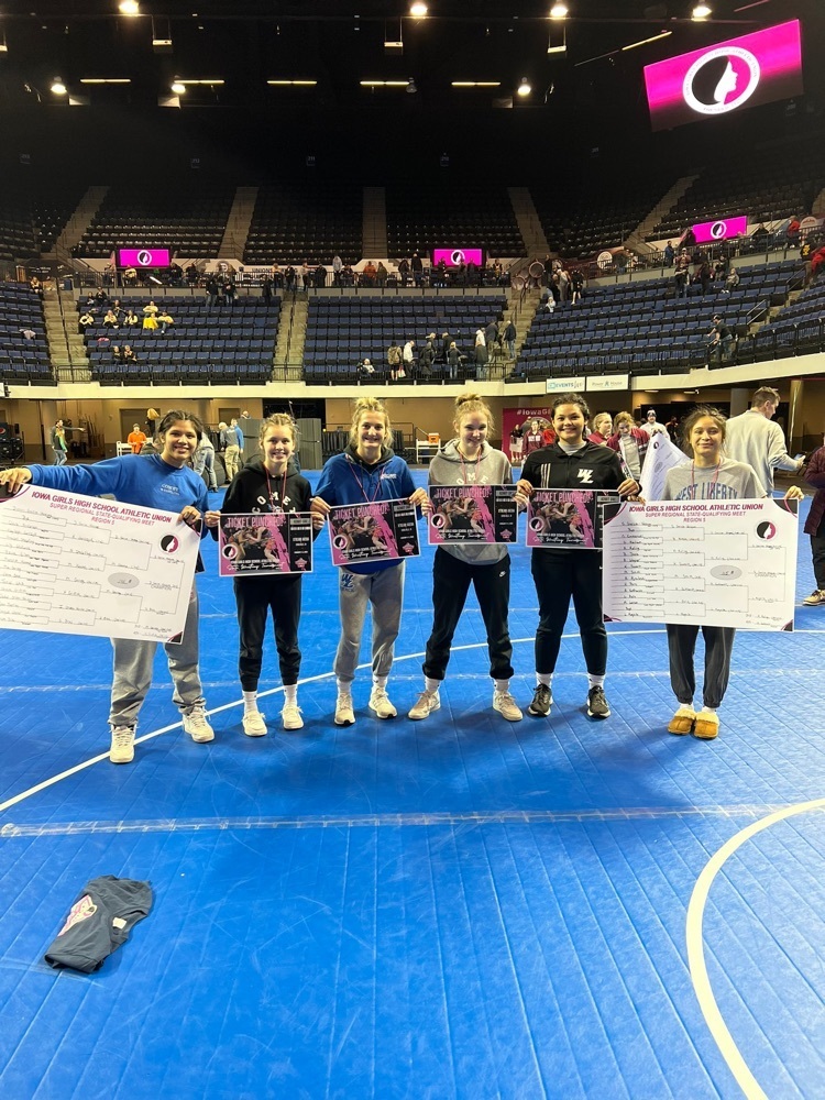 six Comet girls wrestling competitors move on to state